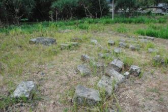 Grassy clearing with irregular gray stones arranged in a circular ring and trees in the background.