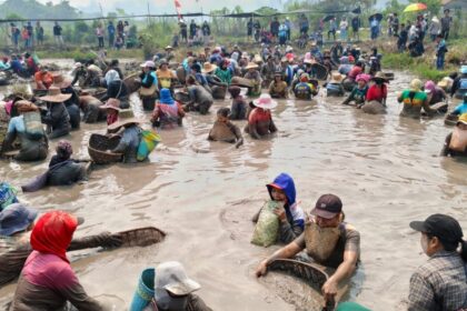 Mass of workers wading in muddy field, harvesting shellfish using baskets as spectators watch from the bank