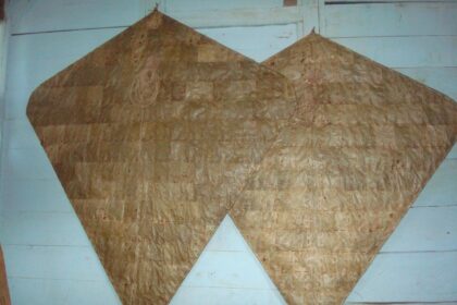 Two large brown diamond-shaped kite wings hanging on a light blue wall.