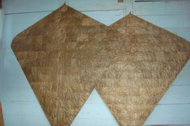 Two large brown diamond-shaped kite wings hanging on a light blue wall.