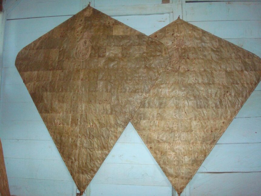 Two large brown diamond-shaped kite wings hanging on a light blue wall.