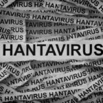 A collage of warning tape repeating the word 'HANTAVIRUS' surrounding a central sign that reads 'HANTAVIRUS'