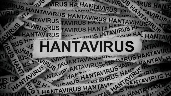 A collage of warning tape repeating the word 'HANTAVIRUS' surrounding a central sign that reads 'HANTAVIRUS'