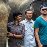 Three people posing with two elephants in a grassy sanctuary behind them, smiling for the camera at a wildlife reserve.