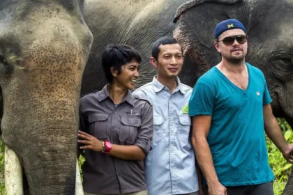 Three people posing with two elephants in a grassy sanctuary behind them, smiling for the camera at a wildlife reserve.