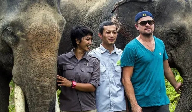 Three people posing with two elephants in a grassy sanctuary behind them, smiling for the camera at a wildlife reserve.