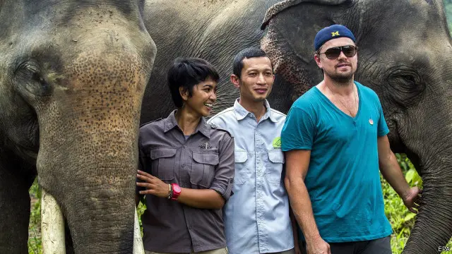 Three people posing with two elephants in a grassy sanctuary behind them, smiling for the camera at a wildlife reserve.