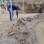 Archaeologists excavating a rocky trench with exposed stones and brick walls in an outdoor site.