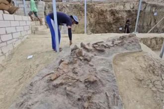 Archaeologists excavating a rocky trench with exposed stones and brick walls in an outdoor site.