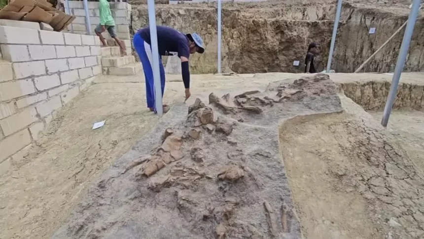 Archaeologists excavating a rocky trench with exposed stones and brick walls in an outdoor site.