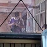 Two people standing close together inside a glass-walled hallway, one wearing a purple shirt, looking down at a phone.