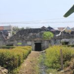 Old ruined concrete wall with overgrown plants and a narrow canal in front, in a tropical village with houses and power lines in the background.