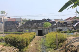 Old ruined concrete wall with overgrown plants and a narrow canal in front, in a tropical village with houses and power lines in the background.