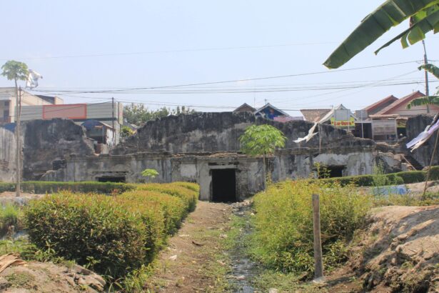 Old ruined concrete wall with overgrown plants and a narrow canal in front, in a tropical village with houses and power lines in the background.