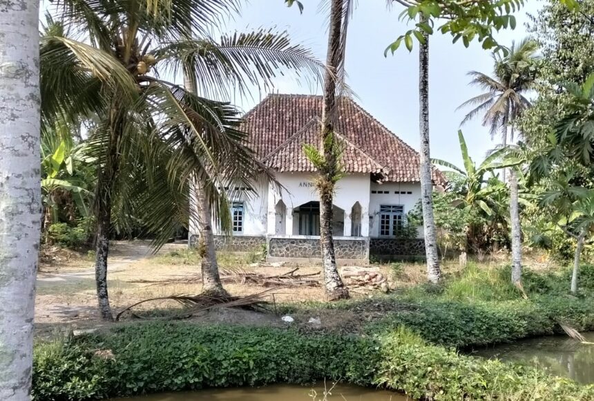 White cottage with a red-tiled roof hidden among tall palm trees near a narrow canal in the foreground.