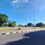 Wide street scene on a sunny day: a large leafy tree on the left, a tall streetlight in the center, and motorcycles on the right beside the road.