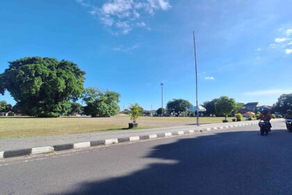 Wide street scene on a sunny day: a large leafy tree on the left, a tall streetlight in the center, and motorcycles on the right beside the road.