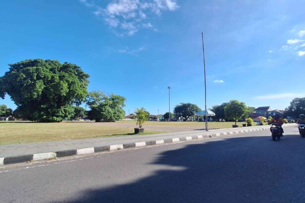 Wide street scene on a sunny day: a large leafy tree on the left, a tall streetlight in the center, and motorcycles on the right beside the road.
