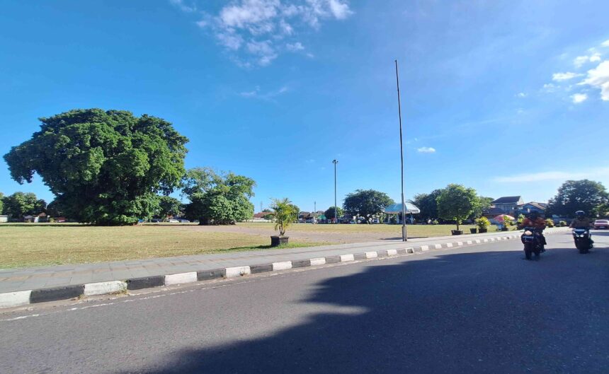 Wide street scene on a sunny day: a large leafy tree on the left, a tall streetlight in the center, and motorcycles on the right beside the road.