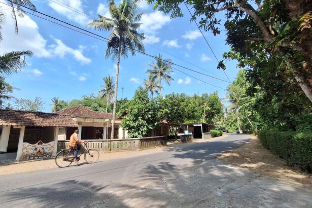 Tropical residential street with palm trees, low houses, and a man riding a bicycle on the road.