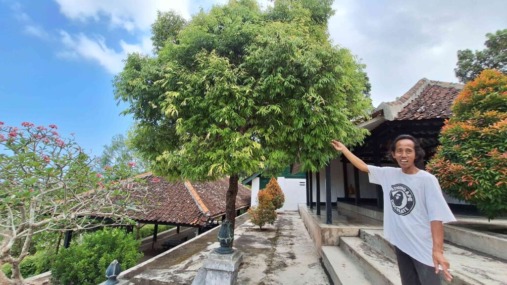 Man in a white T-shirt pointing at a large green tree in a courtyard with tiled roofs in the background.