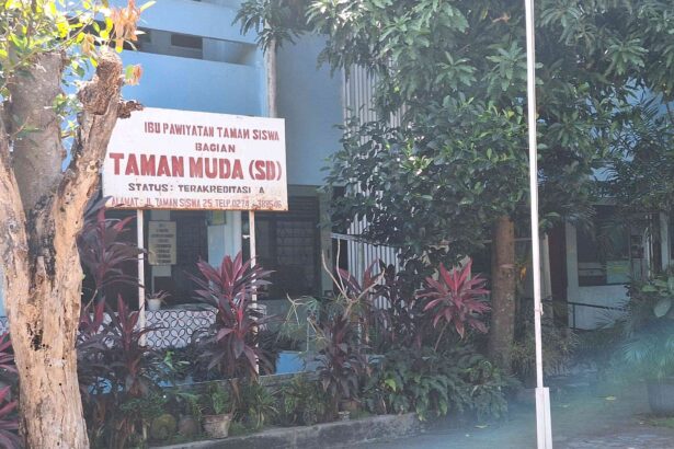 Signboard in Indonesian reading 'Taman Muda (SD)' in front of a blue building, surrounded by trees and red-leaf plants.
