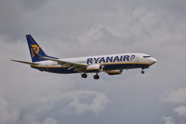Side view of a Ryanair passenger jet in blue and white livery, with landing gear down, flying against a cloudy sky.