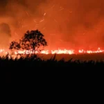 Nighttime wildfire with flames along a field and dark tree silhouettes in the foreground, smoke filling the sky.