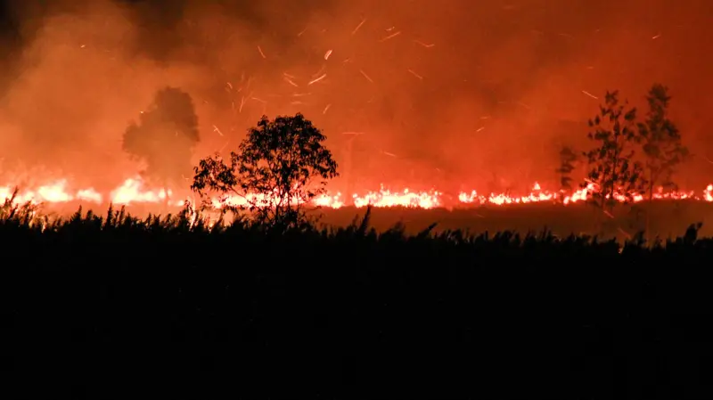 Nighttime wildfire with flames along a field and dark tree silhouettes in the foreground, smoke filling the sky.