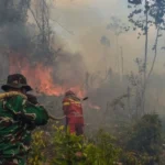 Firefighters in green camouflage and red uniforms battle a forest fire, spraying water with a hose amid smoke and burning trees.