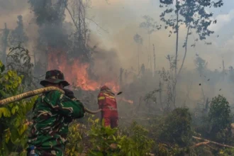 Firefighters in green camouflage and red uniforms battle a forest fire, spraying water with a hose amid smoke and burning trees.