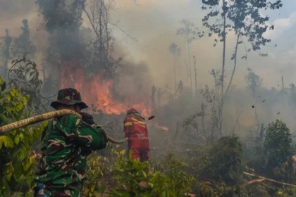 Firefighters in green camouflage and red uniforms battle a forest fire, spraying water with a hose amid smoke and burning trees.