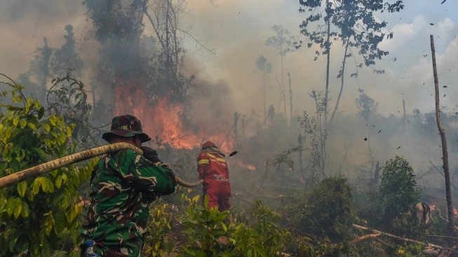 Firefighters in green camouflage and red uniforms battle a forest fire, spraying water with a hose amid smoke and burning trees.