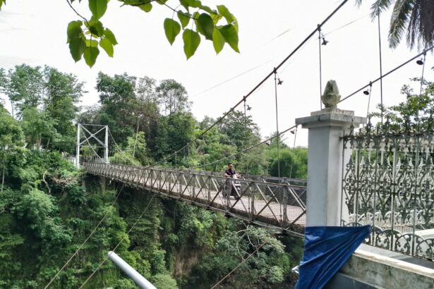 Person riding a motorcycle across a narrow suspension bridge over a deep, green forested gorge; ornate railing visible in the foreground.