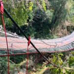 Curved suspension rope bridge with red metal supports and safety netting, spanning a forested gorge.