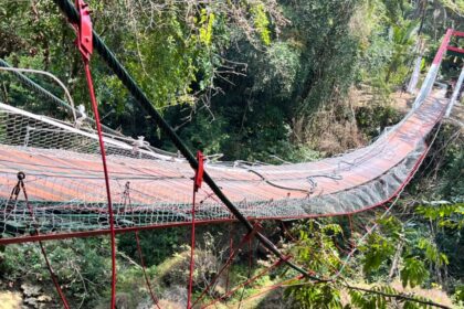 Curved suspension rope bridge with red metal supports and safety netting, spanning a forested gorge.