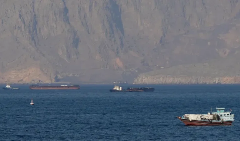 Calm sea with several ships and a rocky coastline in the distance.