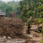 Excavator digging into a dirt hill at a construction site with tropical trees in the background