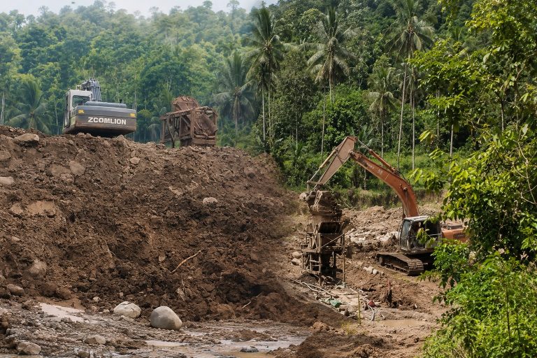 Excavator digging into a dirt hill at a construction site with tropical trees in the background