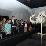 Group of diverse visitors in formal and traditional attire standing along a railing, looking at a large fossil skeleton exhibit in a museum.