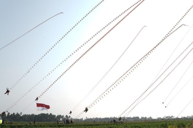 Outdoor festival with dozens of long strings of decorative kites or banners across a clear sky; Indonesian flag visible in foreground.