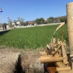 Close-up of a traditional bamboo water pump in a rice field, with a village and blue sky in the background.