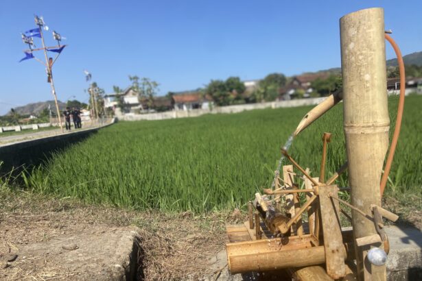 Close-up of a traditional bamboo water pump in a rice field, with a village and blue sky in the background.