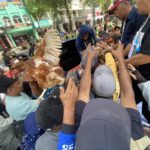 Crowd reaching toward a brown-and-white chicken being handed into a truck on a crowded city street with onlookers and police in the background.