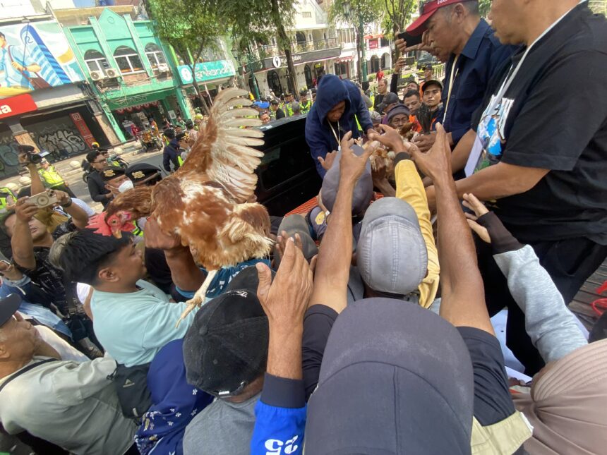 Crowd reaching toward a brown-and-white chicken being handed into a truck on a crowded city street with onlookers and police in the background.