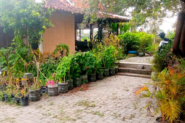 Brick-paved walkway flanked by plastic pots with plants, a small house on the left, and a motorcycle parked among trees on the right.