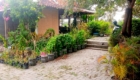 Brick-paved walkway flanked by plastic pots with plants, a small house on the left, and a motorcycle parked among trees on the right.