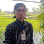 Man in a striped shirt with a headwrap and ID badge stands beside a vine-covered railing, with green rice paddies in the background.