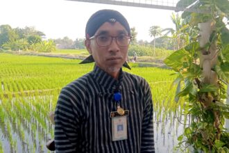 Man in a striped shirt with a headwrap and ID badge stands beside a vine-covered railing, with green rice paddies in the background.