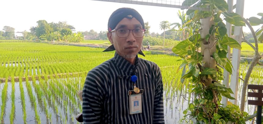 Man in a striped shirt with a headwrap and ID badge stands beside a vine-covered railing, with green rice paddies in the background.